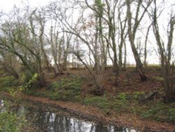 Basingstoke Canal Wallpaper