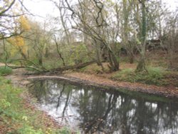 Basingstoke Canal Wallpaper
