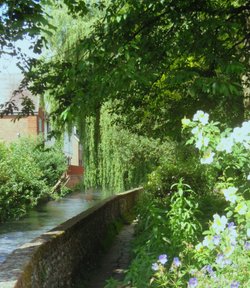 City Mill Garden Winchester