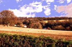 Towards Fonthill Lake Wallpaper