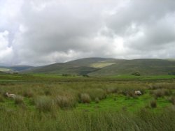 Ennerdale Bridge