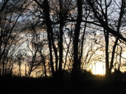 Around the Canal - Late Afternoon Wallpaper