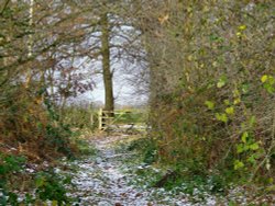 The entrance to North Cliffe woods nature reserve Wallpaper