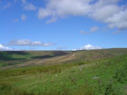 Near High Shaw