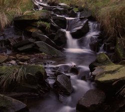 Small Brook