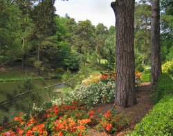 Beside the lake at Leonardslee Gardens, Sussex Wallpaper