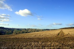 Shillingstone in Dorset Wallpaper