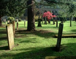 Holy Trinity Churchyard, Stratford-upon-Avon Wallpaper