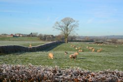 Parsonage Farm Wallpaper