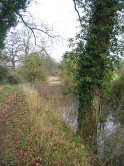 Basingstoke Canal