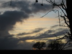 Late afernoon Wallpaper