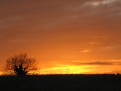 November sunset Wallpaper