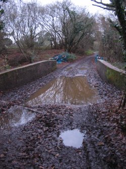Mud glorious Mud!