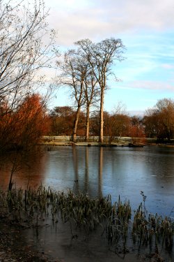 The ice covered lake at Nidd.