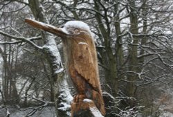 Woody Woody Woodpecker