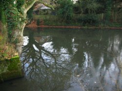 Basingstoke Canal, Up Nately - reflections and Ice Wallpaper