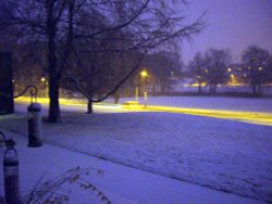 View from my window Wallpaper