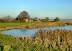 The first pond at Faxfleet Wallpaper