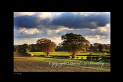 View Near Skidby Wallpaper