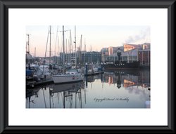 Hull Marina Misty Morning Wallpaper