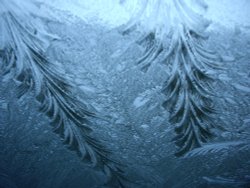 Frozen Windscreen Wallpaper