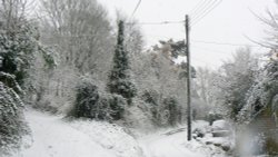 Country Lane Wallpaper