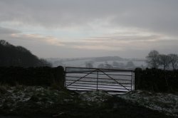 Winters morning in Co Durham Wallpaper