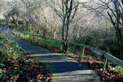 Hawthorn Wood Path.