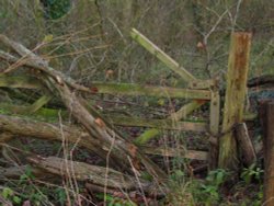 Around Up Nately - a little used gate!