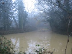 Foggy morning - 14.12.08 Wallpaper