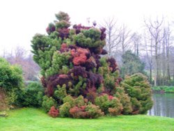 In the grounds of Scotney Castle Wallpaper