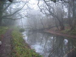 Foggy morning - 14.12.08 Wallpaper