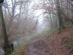 Foggy morning - 14.12.08 Wallpaper