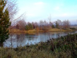 Carp pond, North Cave wetlands Wallpaper