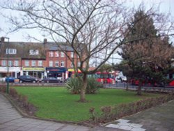 Butlers Green Wallpaper