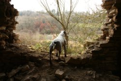 Enjoying the view Wallpaper