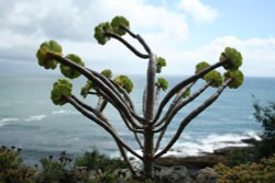 Perfect life Wallpaper