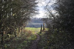 Footpath between Prestwold and Burton on the Wolds Wallpaper