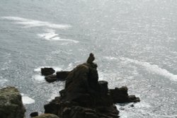 Stone bird Wallpaper