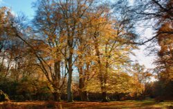 Autumn Colours Wallpaper