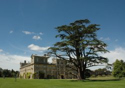 Wilton House Wallpaper