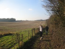 Walking around South Warnborough