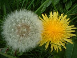 The  Past and Future