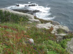 View from St. Michael's Mount 2 Wallpaper