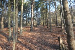 Seven Sisters Country Park Wallpaper