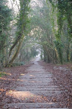 Seven Sisters Country Park
