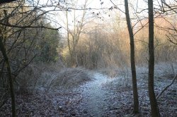 Seven Sisters Country Park Wallpaper