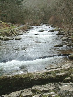 Watersmeet