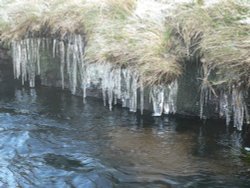 More icicles Wallpaper