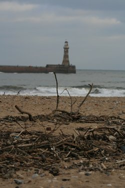 Washed up beach